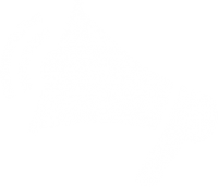 icon-megaphone-bullhorn